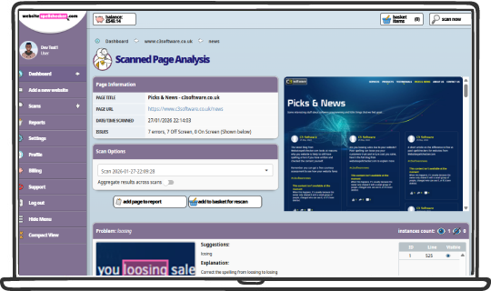 Every scanned page includes a full breakdown of detected issues.
